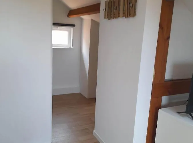 By Angelique 2 Busnes